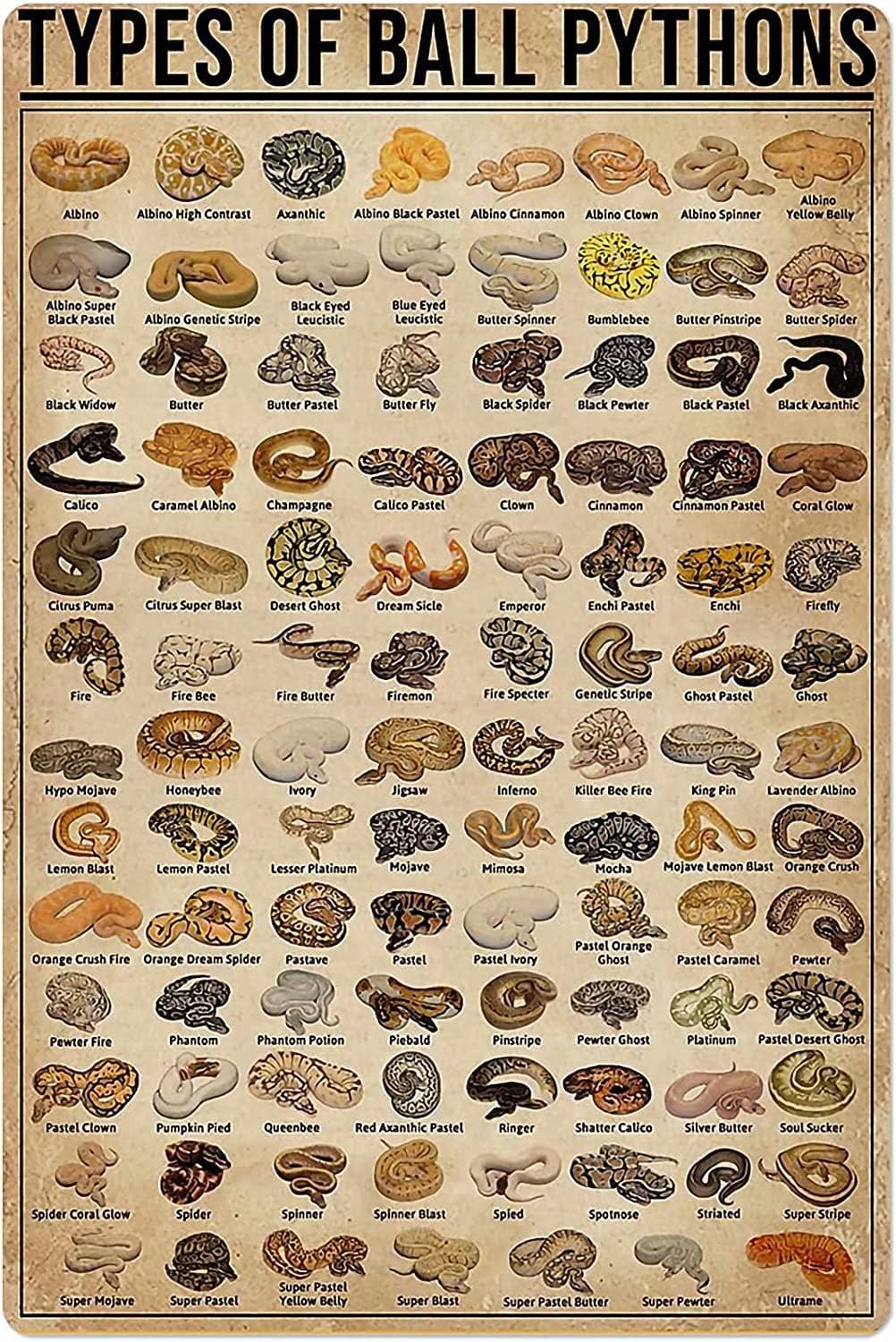 Retro Gaming Pictures - Retro Metal Tin Sign Types of