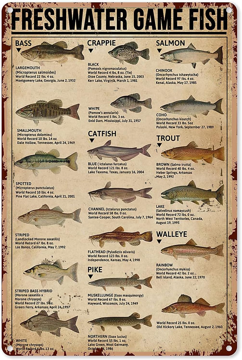 Y1,Fishing Art Posters Metal S - огляд і ціна Retro Gaming Us